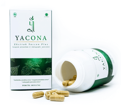 Yacona Kapsul Anti Diabetes